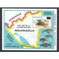 Фауна. Черепахи. Никарагуа. 1981. 1 блок. Michel N бл136 (100,0 е)