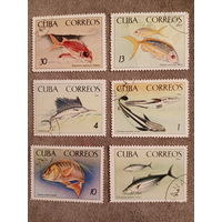 Куба 1965. Морские рыбы