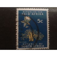 ЮАР 1968 стандарт, цветы