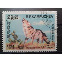 Камбоджа 1984 Волк