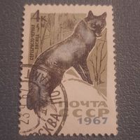 СССР 1967. Серебристо-черная лисица