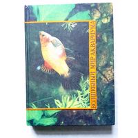 В.Г.Серов Волшебный мир аквариума 1990 (подарочное, справочник)