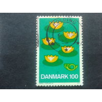 Дания 1977 цветы
