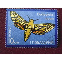 Болгария 1962 г. Бабочки.
