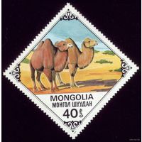 1 марка 1978 год Монголия Корабль пустыни