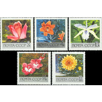 Цветы ботанического сада СССР 1969 год (3751-3755) серия из 5 марок