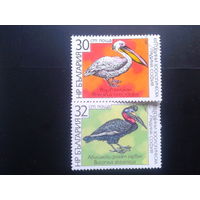 Болгария 1988 птицы