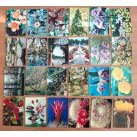 24 открытки из набора Экскурсия в природу. Главный ботанический сад АН СССР 1973 г