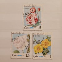Куба 1979. Флора. Цветы. Розы