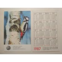 Карманный календарик. Птица Пёстрый Дятел. 1987 год