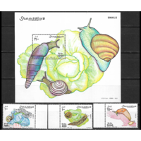 Фауна Улитки Моллюски Ракушки Сомали 2003   MNH