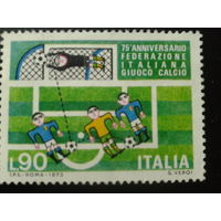 Италия 1973 футбол