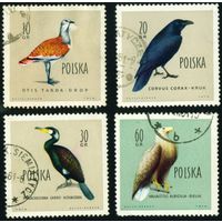 Птицы Польша 1960 год 4 марки
