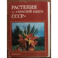 Растения из Красной книги СССР. Набор открыток с описанием на обороте. Это интересно!