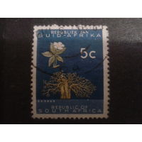 ЮАР 1961 стандарт, цветы