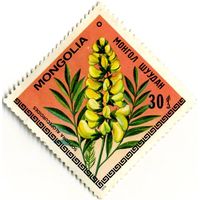Марка МНР 1979 г. (по каталогу Mi:MN #1209), негаш. Цветы.  Sophora alopecuroides