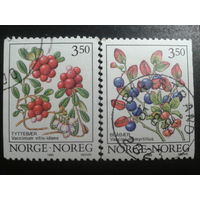 Норвегия 1995 ягоды полная серия