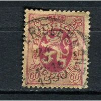 Бельгия - 1930 - Герб 60С - [Mi.278] - 1 марка. Гашеная.  (Лот 23CW)