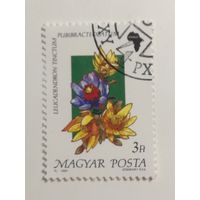 Венгрия 1990. Флора.