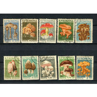 Румыния - 1958 - Грибы - [Mi. 1721-1730] - полная серия - 10 марок. Гашеные.  (Лот 24AD)