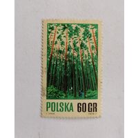 Марка Польша 1971 год. Флора. Лес. Возобновление лесов.