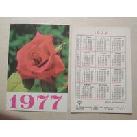 Карманный календарик. Роза .1977 год