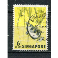 Сингапур - 1962/1967 - Рыбка 6C - [Mi.57] - 1 марка. Гашеная.  (Лот 76EZ)-T25P7