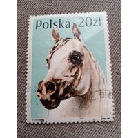 Польша 1989. Породы лошадей