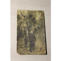 Фото с пальмой, до 1917 года, размер 14*9 см.