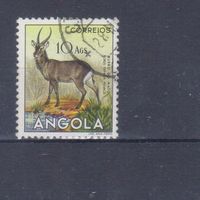 [2460] Португальские колонии. Ангола 1953. Фауна.Антилопа. Гашеная марка.