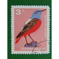 Болгария 1965г. Птицы.