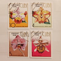 Куба 1986. Флора. Цветы
