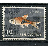 Сингапур - 1962/1967 - Рыбка 10C - [Mi.59X] - 1 марка. Гашеная.  (Лот 77EZ)-T25P7