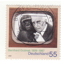 Горилла (Gorilla gorilla), Бернхард Гржимек 2009 год