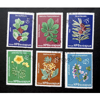 Болгария 1976 г. Цветы. Флора, полная серия из 6 марок #0183-Ф1