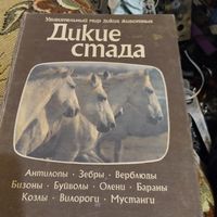 Удивительный мир диких животных.  Дикие стада.