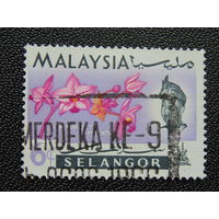 Малайзия. Флора.