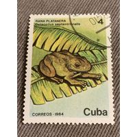 Куба 1984. Рептилии. Geteopilus septentrionalis. Марка из серии