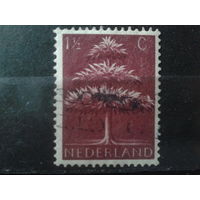 Нидерланды 1943 Дерево