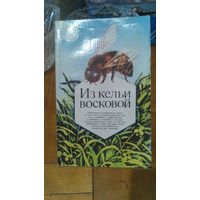 Книга Из кельи восковой