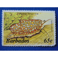 Барбадос. Морская фауна. 1985 г.