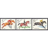 СССР конный спорт лошадь фауна