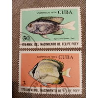 Куба 1974. Морские рыбы