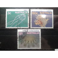 Австралия 1986 морская фауна