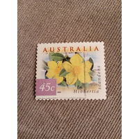 Австралия 1999. Hibbertia scandens