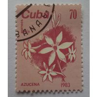 Куба. Цветы. 1983г.