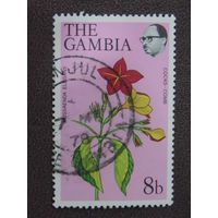 Гамбия. Цветы.