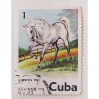 Куба.1981.лошадь