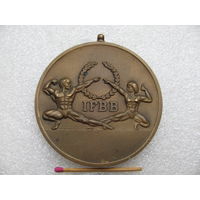 Медаль. 5 Абсолютное первенство Международная ассоциация бодибилдинга. г. Минск, 2005 г.