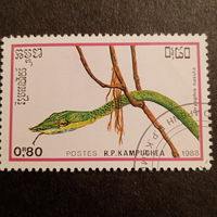 Камбоджа 1988. Змеи. Dryophis nasuta
